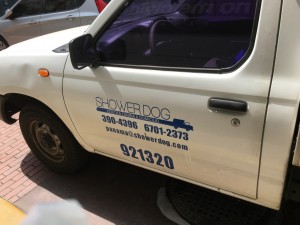 Casco Viejo mobile services