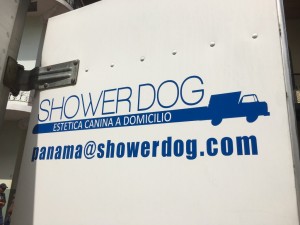 Shower dog Casco