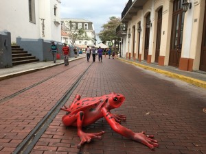 the frog casco viejo - copia