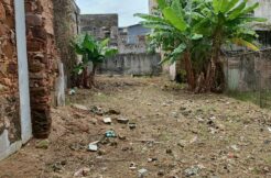 For Sale: Investment Opportunity – Development Lot