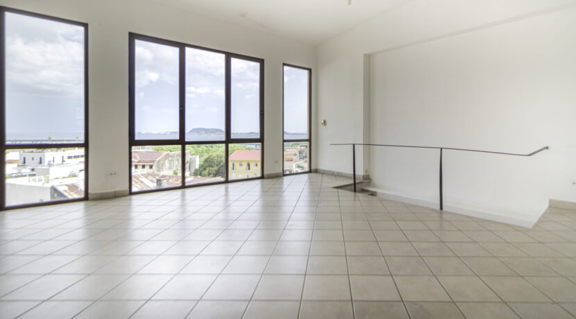 PH Central - Penthouse-08