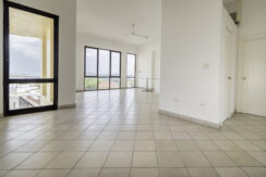 PH Central - Penthouse-10