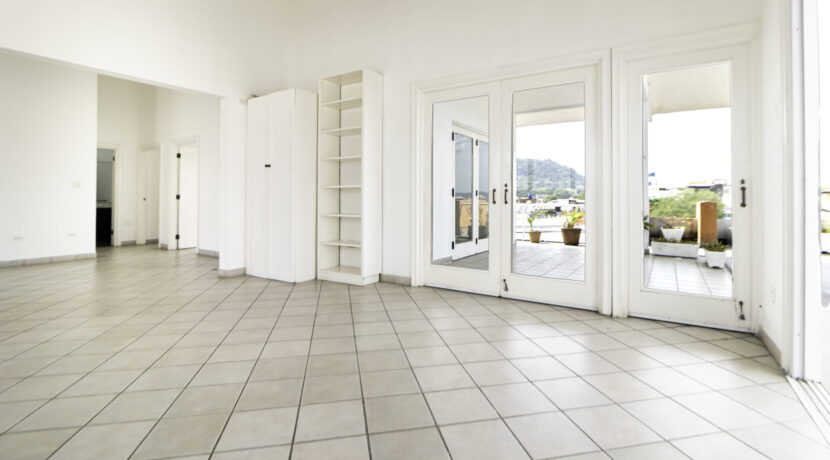 PH Central - Penthouse-20