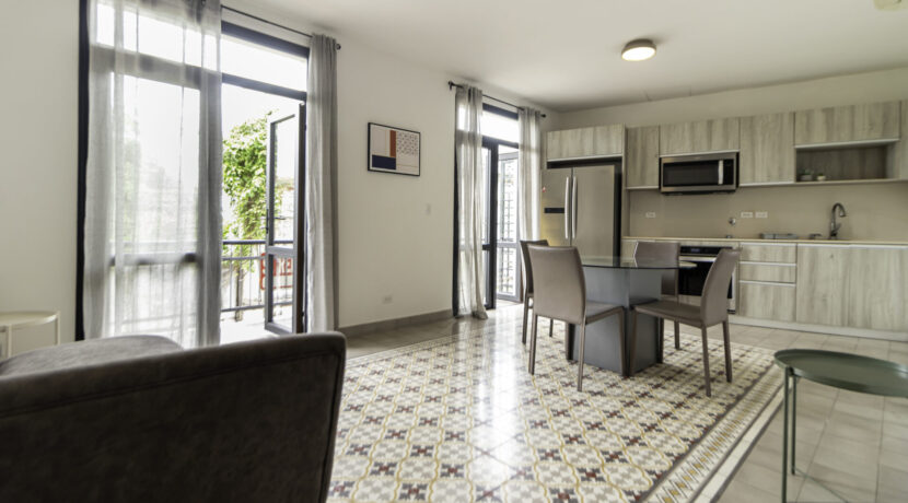 Casa Borbua - Apto 1-01