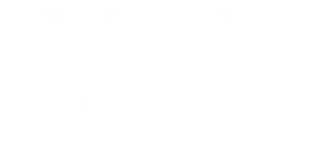 vibe-logo-white
